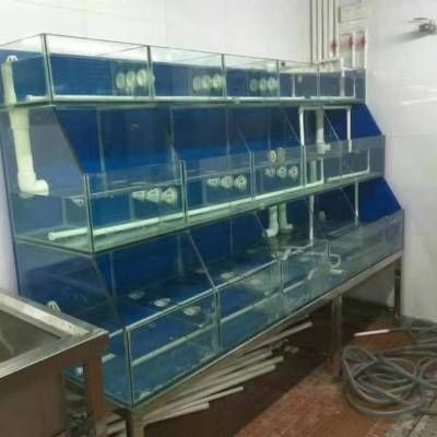 出售二手海鮮魚缸違法嗎怎么處理：出售二手海鮮魚缸是否違法