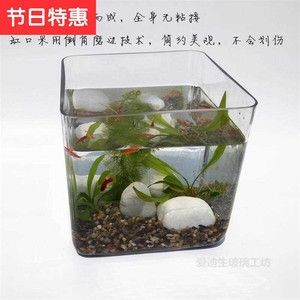 玻璃魚缸粘接：關于玻璃魚缸粘接的一些詳細信息