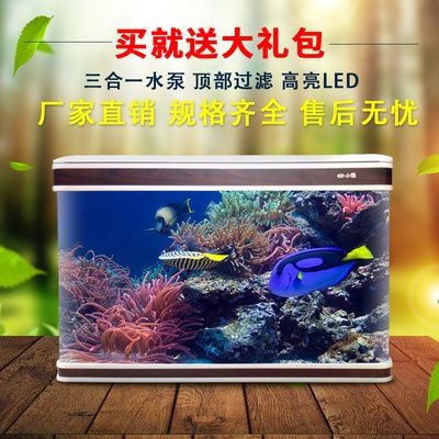 哪些食物適合龍魚恢復期食用？（龍魚恢復期喂食計劃表）