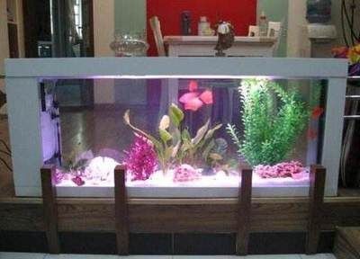 別人送的魚缸能要嗎？：別人送的魚缸是否能取決于個人的觀念和需求以及個人喜好等