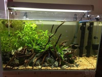 多高的魚缸需要拉筋：關于魚缸高度與拉筋需求的問題