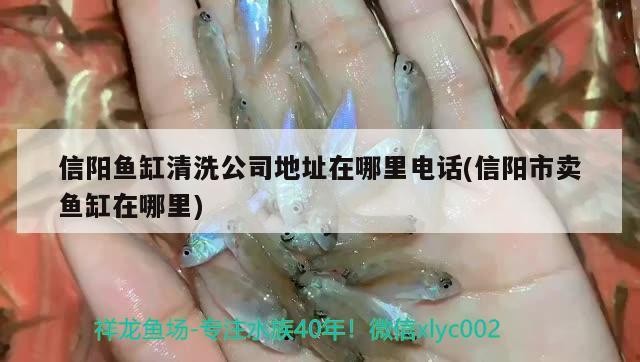 給大魚缸換水的作文:體驗給大魚缸換水的樂趣:體驗給大魚缸換水:給大魚缸換水的作文 信陽魚缸清洗公司地址在哪里電話(信陽市賣魚缸在哪里) 豬鼻龜百科 信陽魚缸清洗公司地址在哪里電話(信陽市賣魚缸在哪里) 信陽魚缸清洗公司地址在哪里電話(信陽市賣魚缸在哪里) 豬鼻龜百科