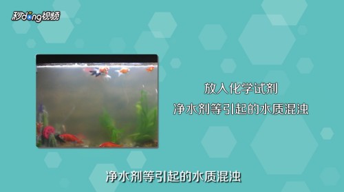 合肥瑤海區雅仕生態水族經營部（合肥瑤海區雅仕生態水族經營部地址）