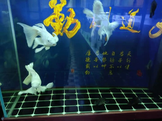 西平縣同發(fā)實業(yè)有限公司