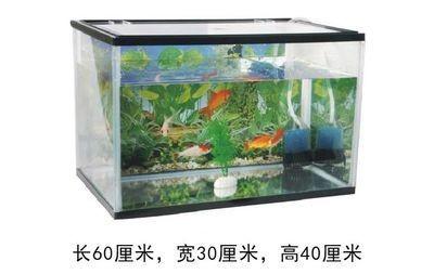 1.20.40.6魚缸容積：如何計算魚缸的容積
