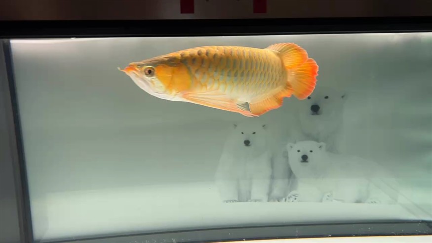 狀態來了