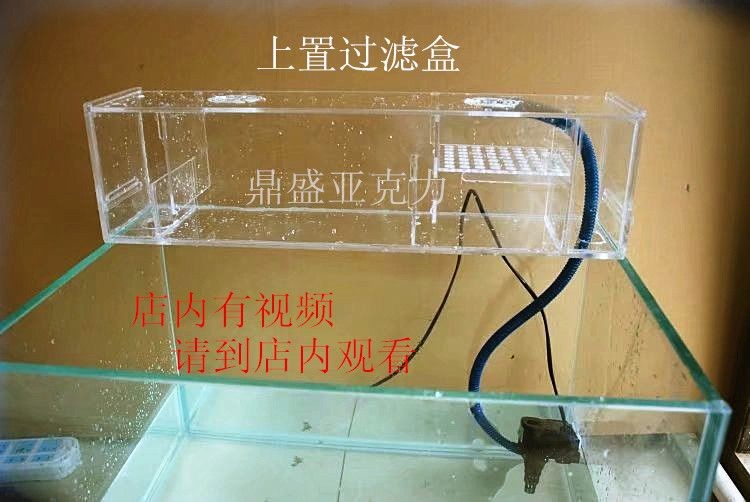 不插電魚(yú)缸過(guò)濾器能用嗎：不插電的魚(yú)缸過(guò)濾器diy教你如何自制魚(yú)缸過(guò)濾器
