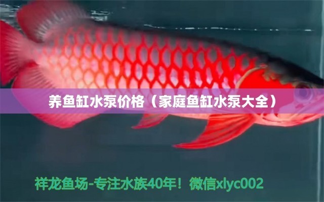 大慶市薩爾圖區碧波水族館（大慶市薩爾圖區碧波水族館電話）