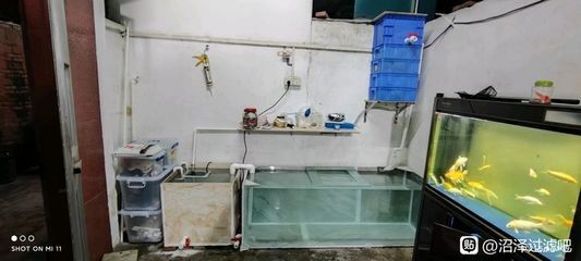 玻璃魚缸如何打孔視頻：在玻璃魚缸上打孔是一項需要細心和專業工具的任務