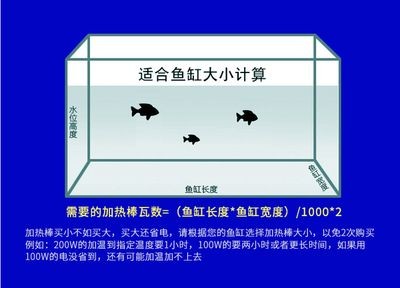 多久給魚缸消一次毒好：新魚缸消毒頻率取決于多種因素，養魚愛好者應注意以下幾點