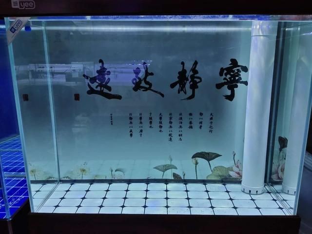 多久給魚缸消一次毒好：新魚缸消毒頻率取決于多種因素，養魚愛好者應注意以下幾點