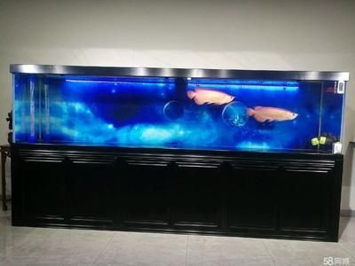 大型魚缸搬運多少錢一噸啊：魚缸搬運價格因魚缸大小、搬運距離、搬運距離、搬運難度等因素
