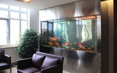 辦公室可以擺放魚缸嗎：辦公室擺放魚缸的風(fēng)水禁忌