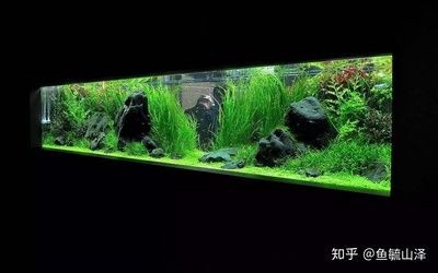 超白魚缸和普通魚缸對比：超白魚缸和普通魚缸有什么區別