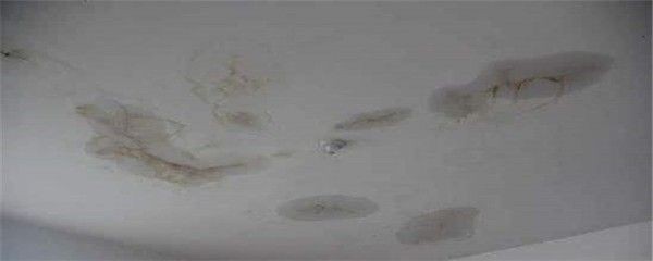 大魚缸漏水打膠打不住怎么辦呢：大魚缸漏水問題需要根據搜索結果整理的幾種處理方式
