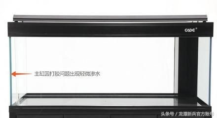 大魚缸漏水打膠打不住怎么辦呢：大魚缸漏水問題需要根據搜索結果整理的幾種處理方式