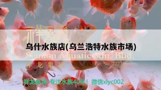 烏什水族店(烏蘭浩特水族市場)