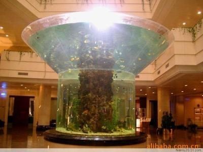 大型魚(yú)缸批發(fā)：大型魚(yú)缸批發(fā)公司有哪些？