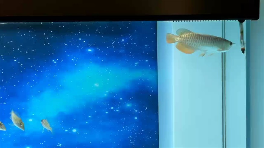 走你！