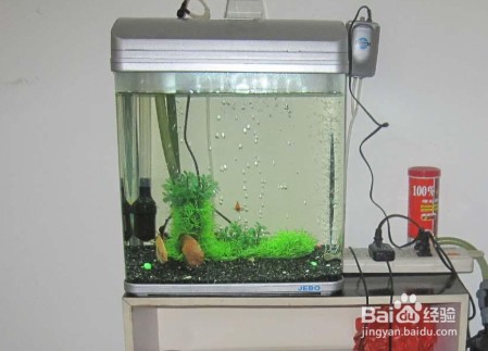 上海市閔行區梅隴曹行民建雯雯水族館