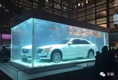 從魚缸外面看魚會被放大的原理：從魚缸外面看魚時，魚缸和其中的水可以看作是一種簡單的光學儀器