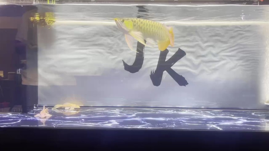 為什么發出來這個顏色！[haha]