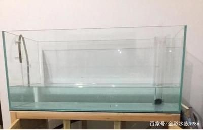 玻璃魚缸自制：自制玻璃魚缸的步驟