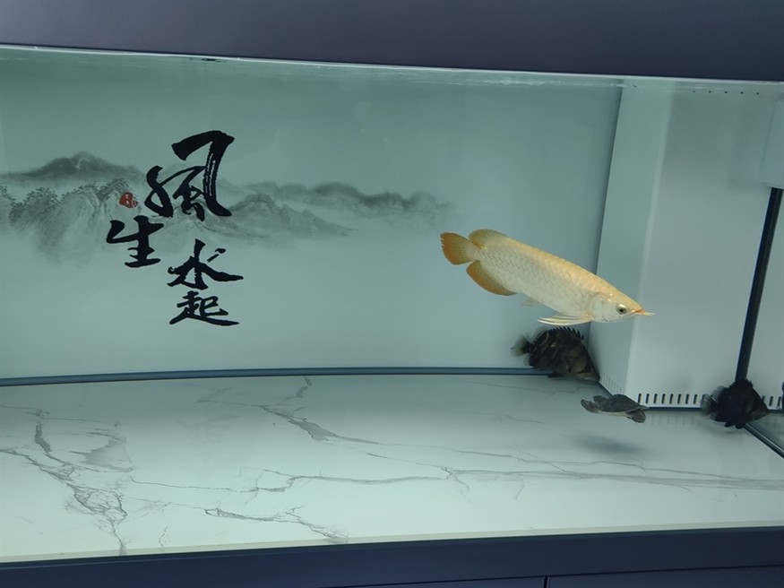 和睦相處