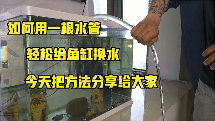 這篇小說一共有多少章節，《1000詞》有哪些配套資源，《1000詞》有哪些特色