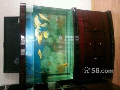 長沙魚缸回收廠家地址（長沙魚缸回收廠家地址電話）