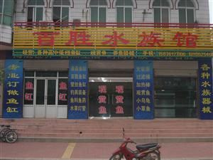 百勝魚缸總公司：百勝魚缸與百勝魚缸相關(guān)的公司信息