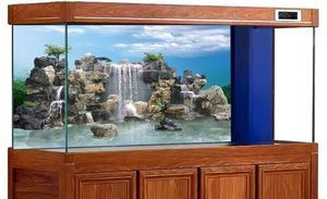大型魚缸背景效果圖：大型魚缸背景效果圖的設(shè)計(jì)