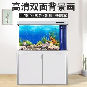 大型魚缸背景效果圖：大型魚缸背景效果圖的設(shè)計(jì)
