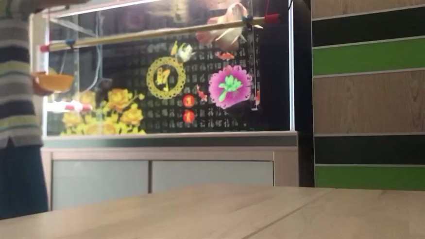 撞缸后第二天恢復得很不錯繼續努力