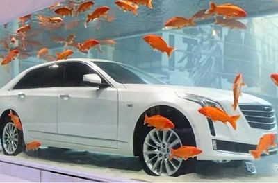 車沉魚缸,心沉大海的故事：車沉魚缸，心沉大海