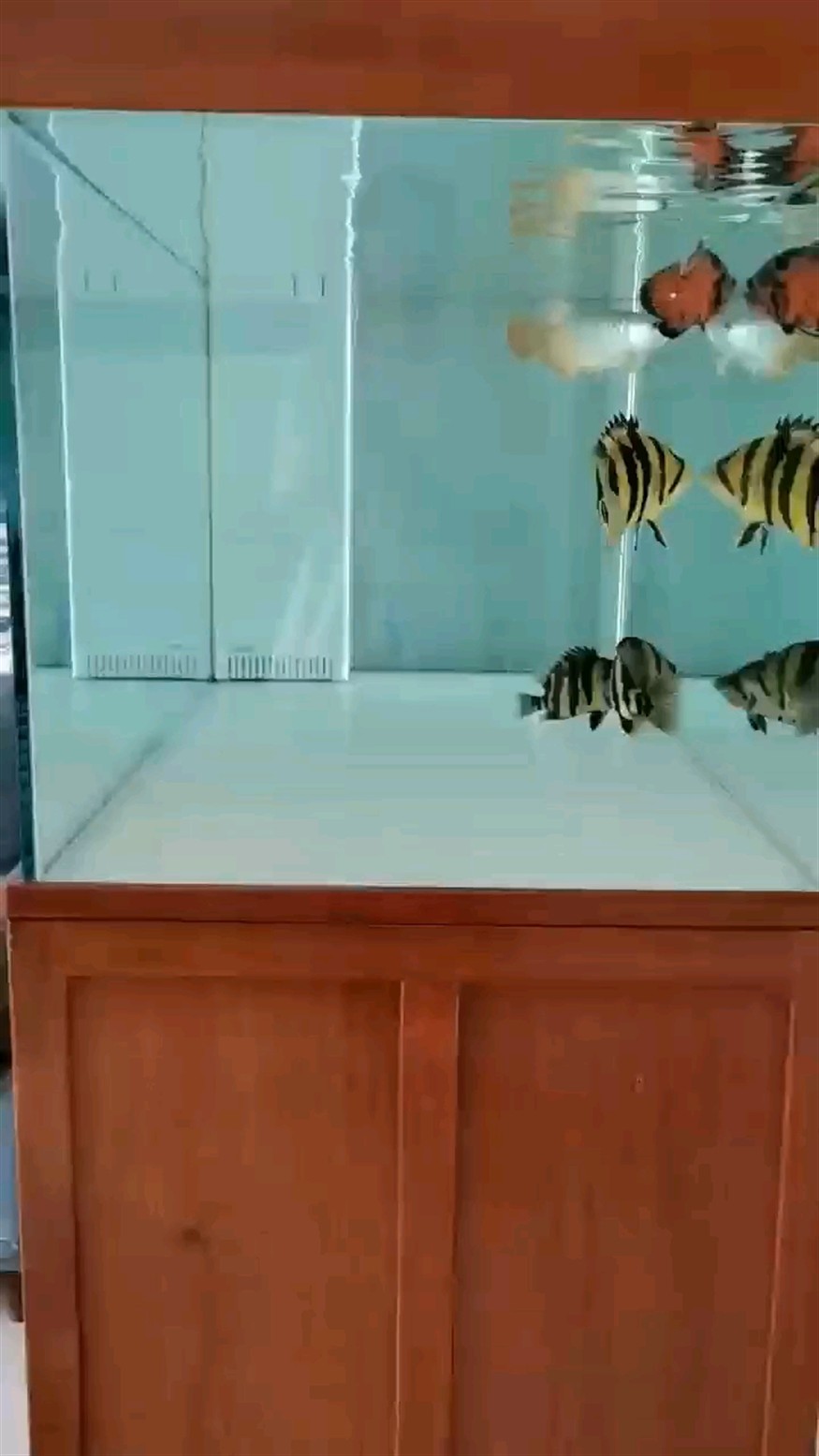 開飯啦！