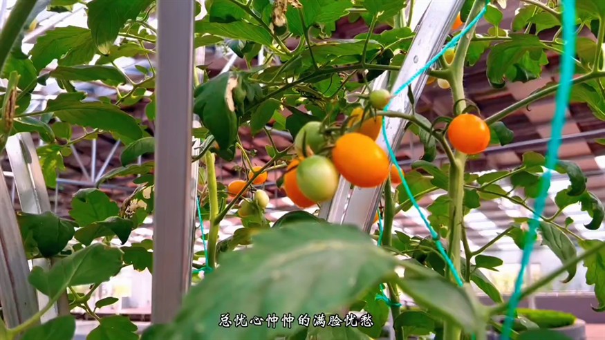 養水，就得養出“活、嫩、爽”的感覺