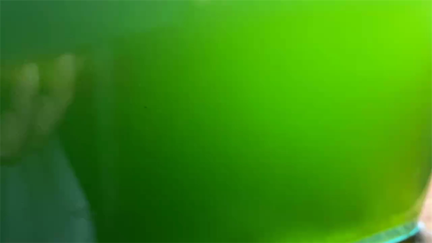 綠水