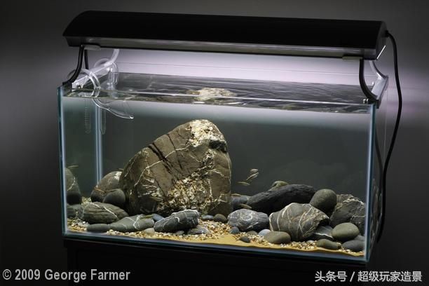 冬天魚缸要加溫嗎：冬季養(yǎng)魚與節(jié)能技巧在冬季養(yǎng)魚與節(jié)能技巧技巧