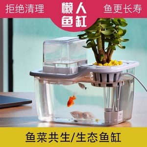 斗魚魚缸裝飾圖：斗魚魚缸裝飾實物圖