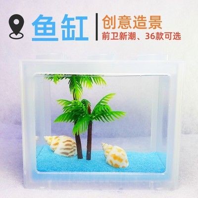 斗魚魚缸裝飾圖：斗魚魚缸裝飾實物圖