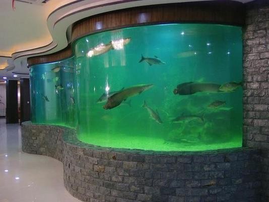 張店廣勃水族館（張店廣勃水族館電話）