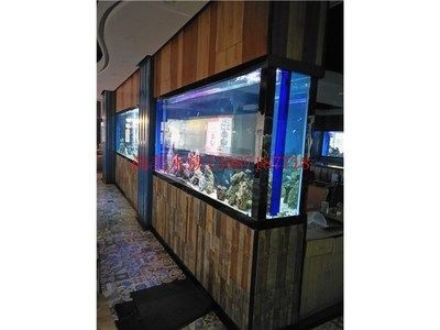 大型定做魚缸：大型魚缸定做的種類和材料