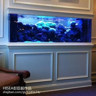 大型定做魚缸：大型魚缸定做的種類和材料