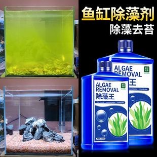 除藻劑魚缸：十大熱門魚缸除藻劑品牌產品排行榜和魚缸除藻劑品牌排行榜