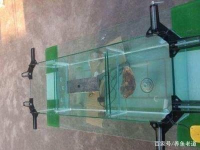 玻璃店做魚缸多少錢：玻璃店做魚缸價格根據不同因素而有所不同而有所不同