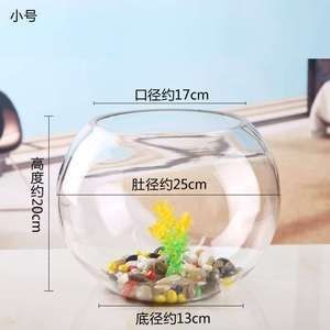 玻璃球魚(yú)缸：玻璃球在魚(yú)缸中的應(yīng)用