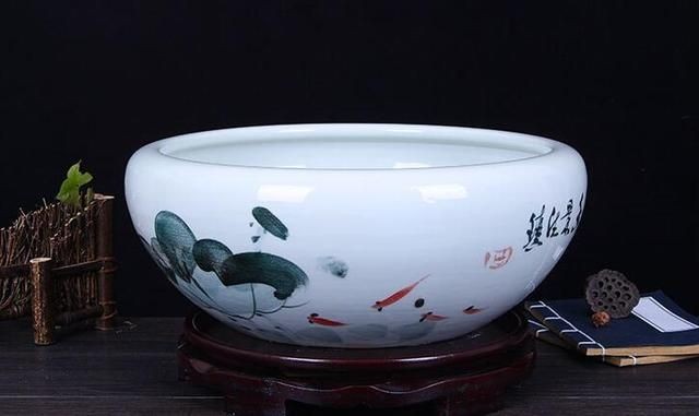 大魚缸可以養什么魚好：什么樣的魚適合養大型觀賞魚