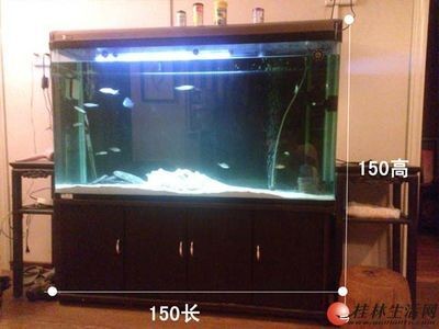 1米8魚缸用多厚的超白玻璃好些：1.8米高的魚缸用多厚的玻璃好些