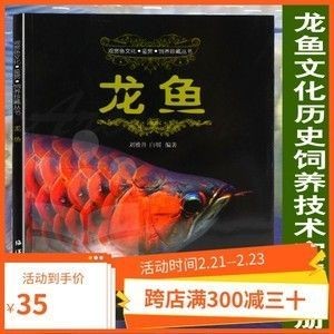 養龍魚需要備點什么藥